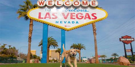 jackpot hotels nevada|pet friendly hotels jackpot nv.